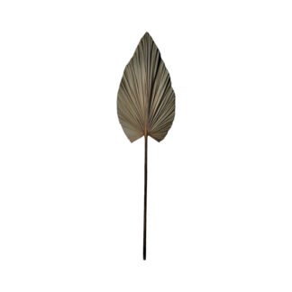 Διακοσμητικό φύλλο Leafen I Inart φυσικό palm leaf 121εκ